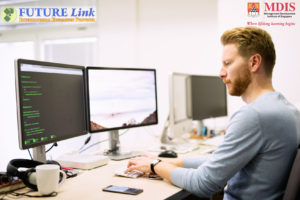 IT Specialist