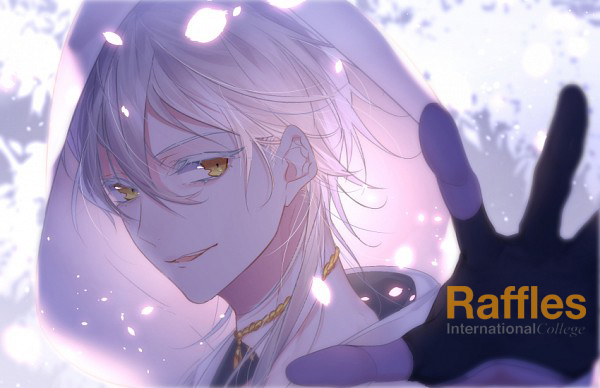 Raffles - Animation Design
